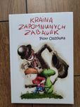 Książka "Kraina zapomnianych zabawek" Piotr Olszówka