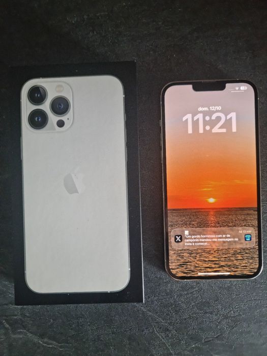 Iphone 13 Pro Max 256 Gb