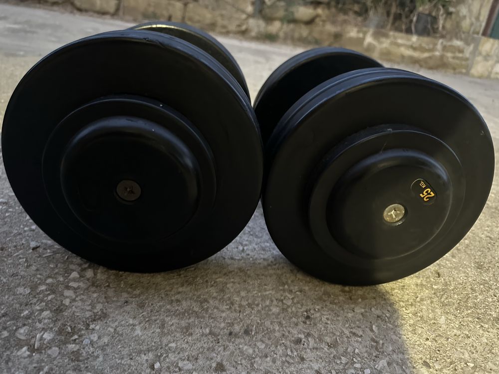 Halteres de 25kg aborrachados (par 50kg)