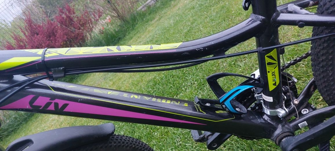 Giant Liv Enchant 1 disc 24"