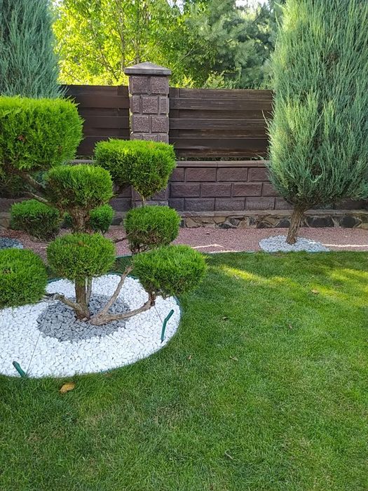 Стрижка рослин, посів газону, обрізка дерев