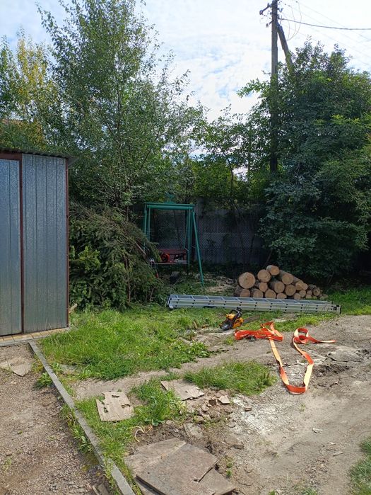 Wycinka drzew i krzewów , Zakładanie trawników