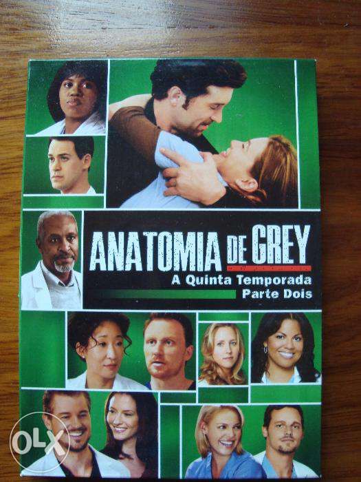 Anatomia de Grey - Quinta temporada (Parte dois)