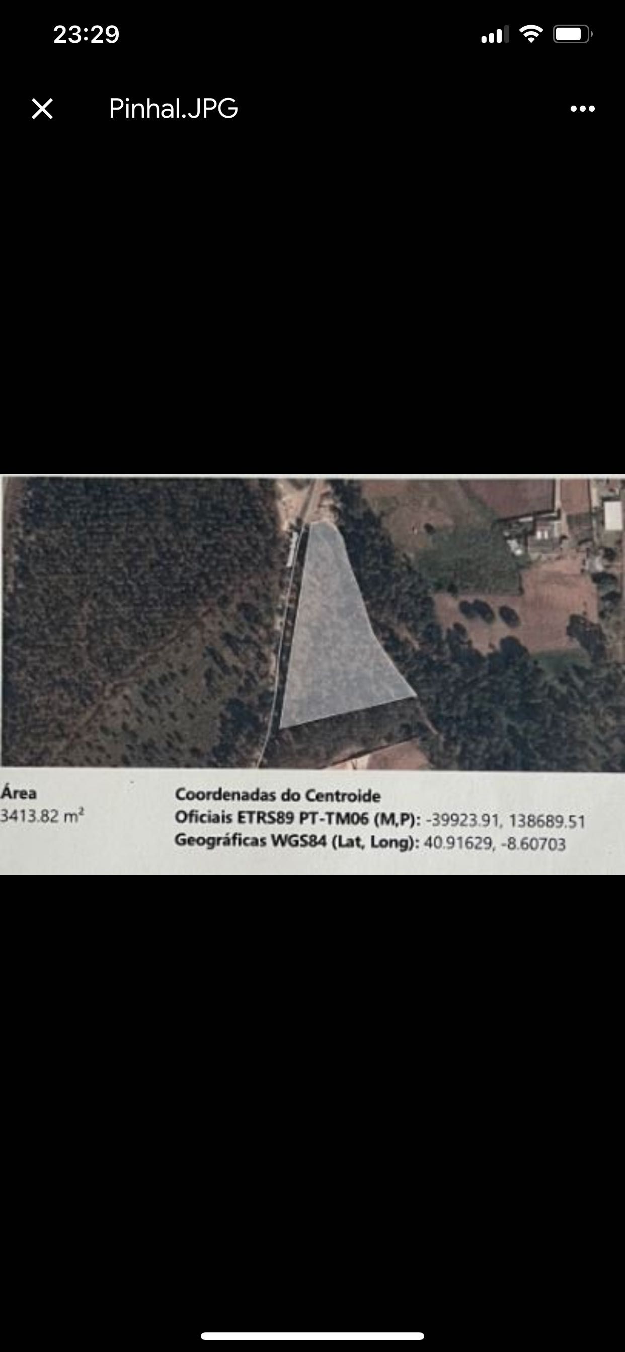 Terreno/pinhal para construção 3400m