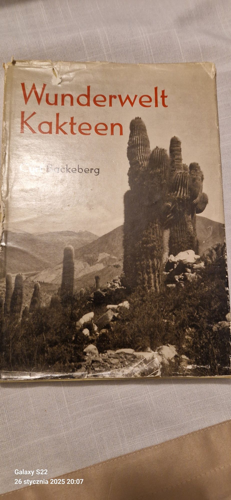 Kaktusy Kaktusy Wunderwelt Kakteen Curt Backeberg