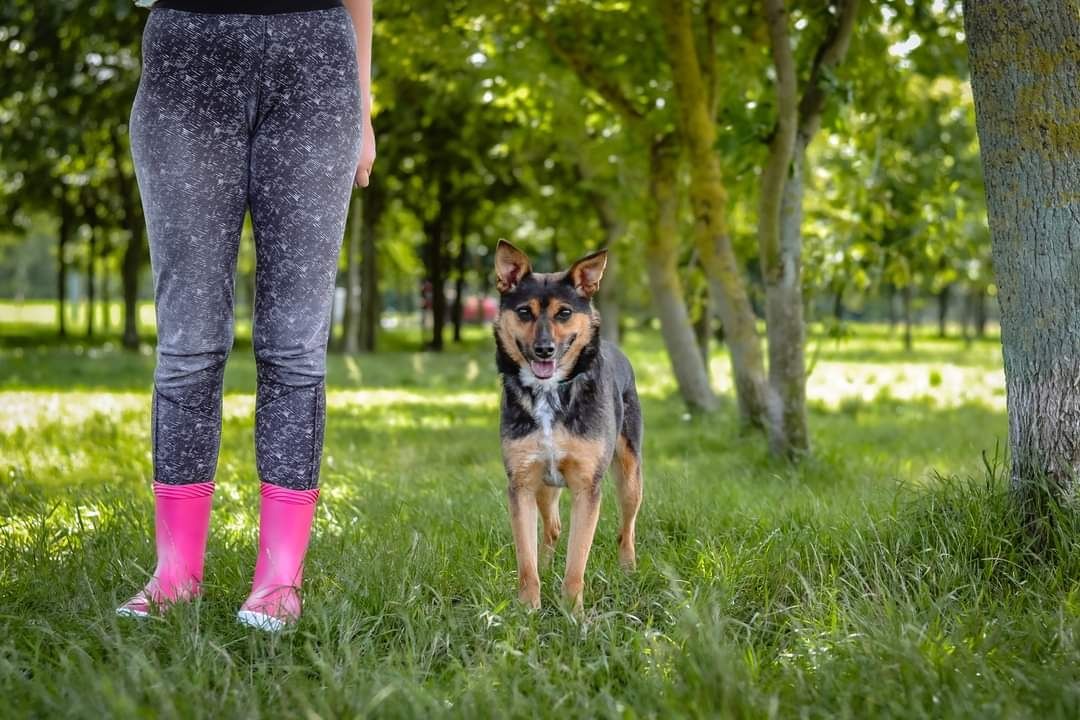 Czy to malutkie cudo znajdzie wreszcie swój Dom?