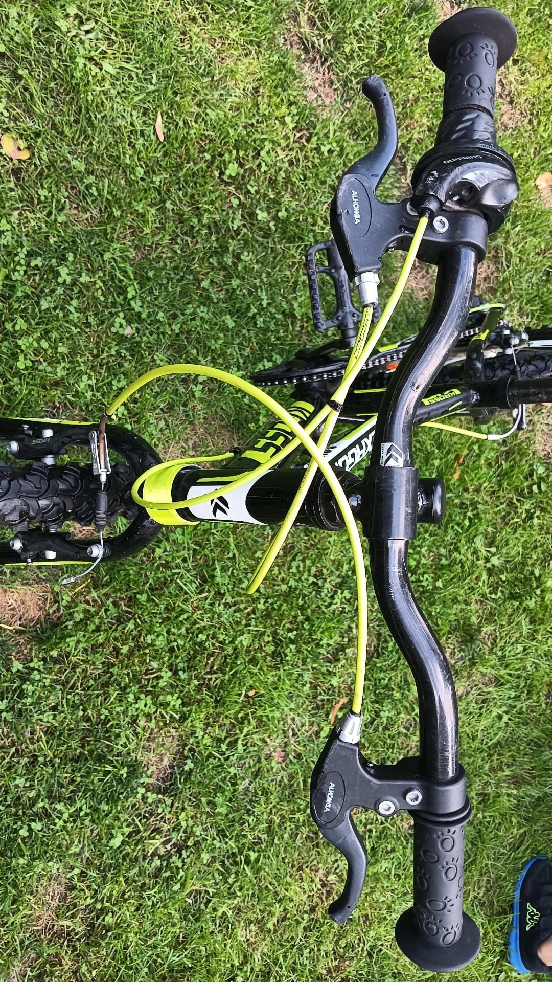 Rower Kross Mini