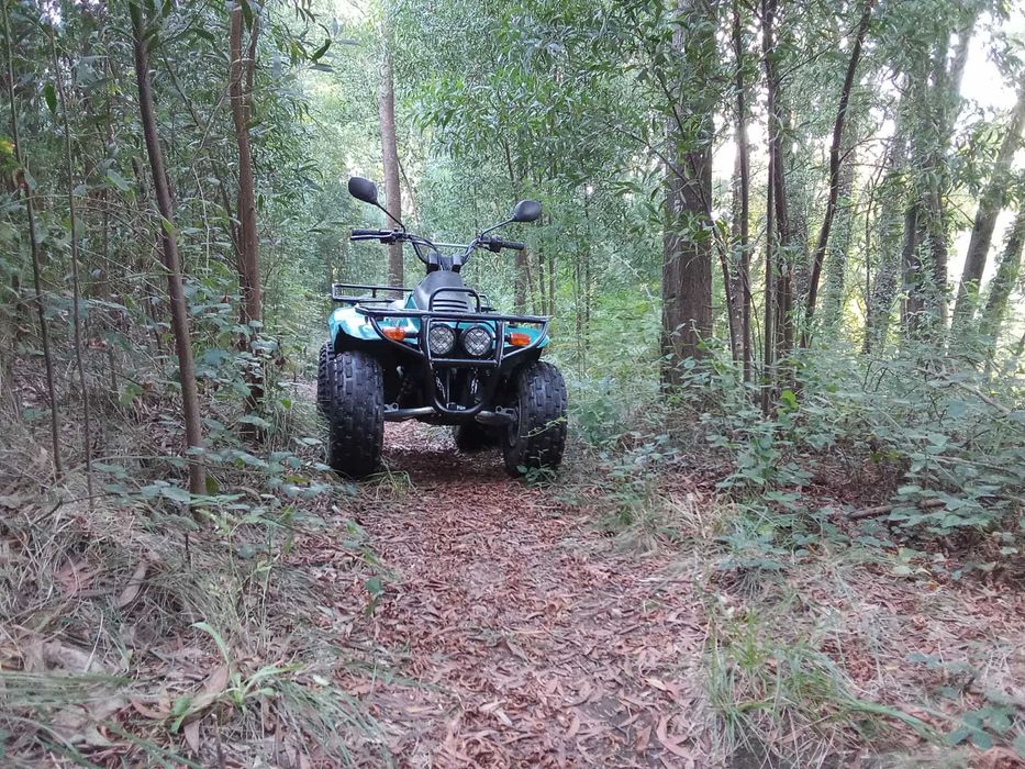moto4 quadrunner 1 lugar matriculada
