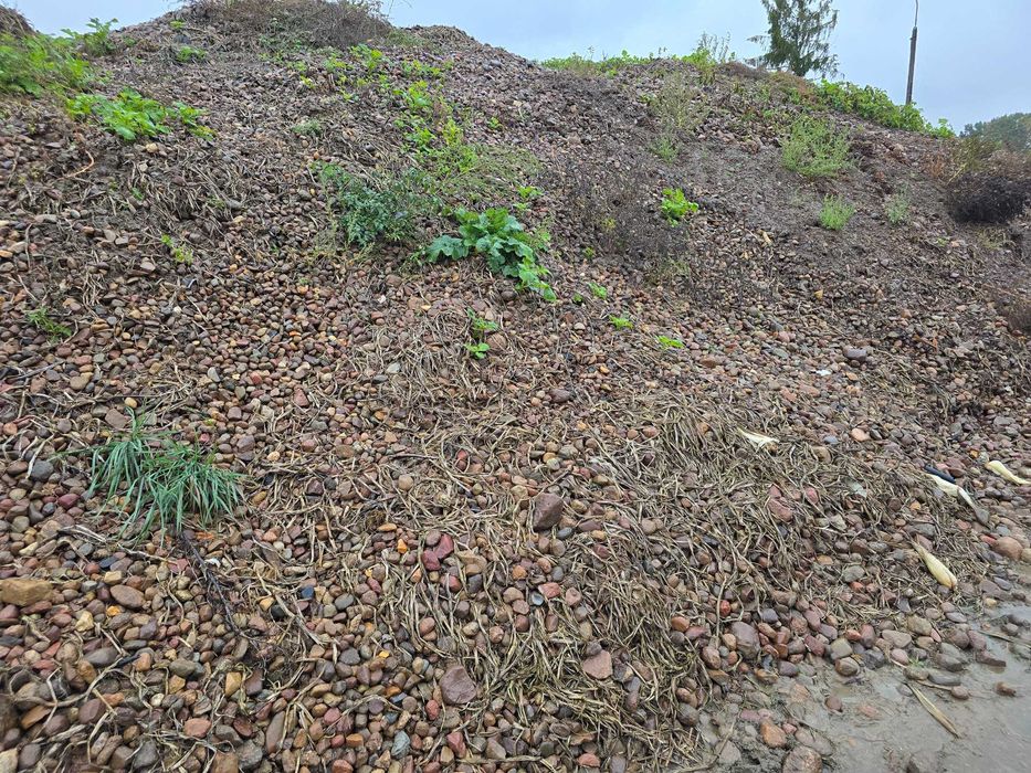 Drobny kamień polny sprzedam