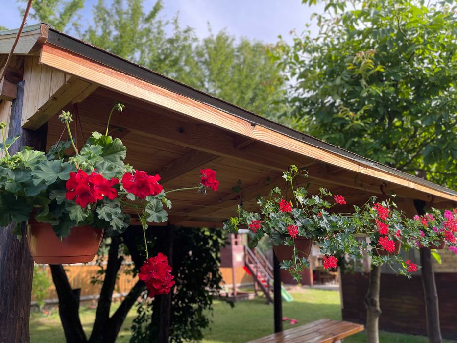 Sylwester,domek lub pokoiki,kuligi z ogniskiem,balia z jacuzzi,las.