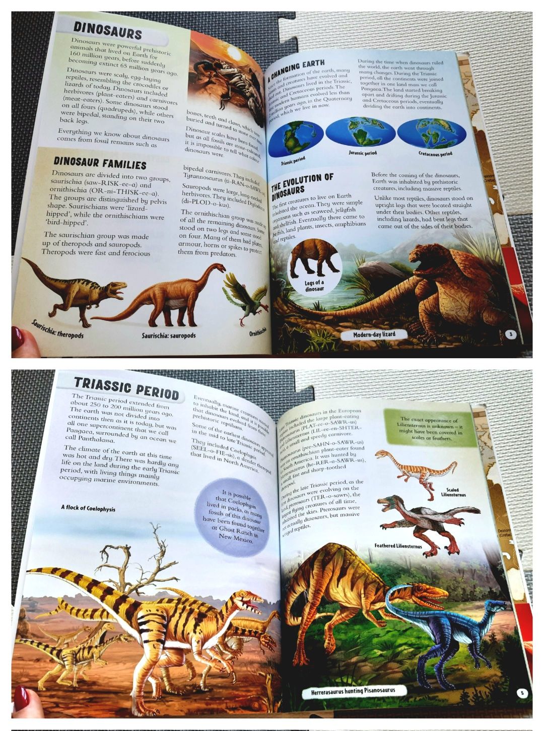 Dinosaur Sticker Atlas album z naklejkami mapą dinozaury po angielsku