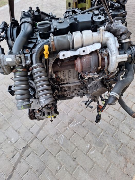 Silnik 1.6 tdci t1da t1db ford Focus fiesta