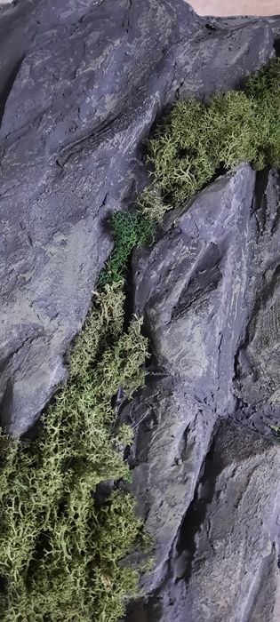 Картина интерьерная скала, мох, горы.