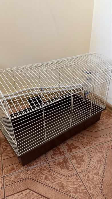 Клітка для гризунів в ідеальному стані