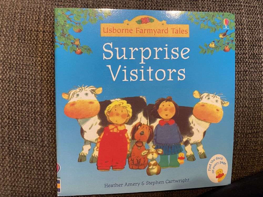 Surprise visitors- książeczka po angielsku