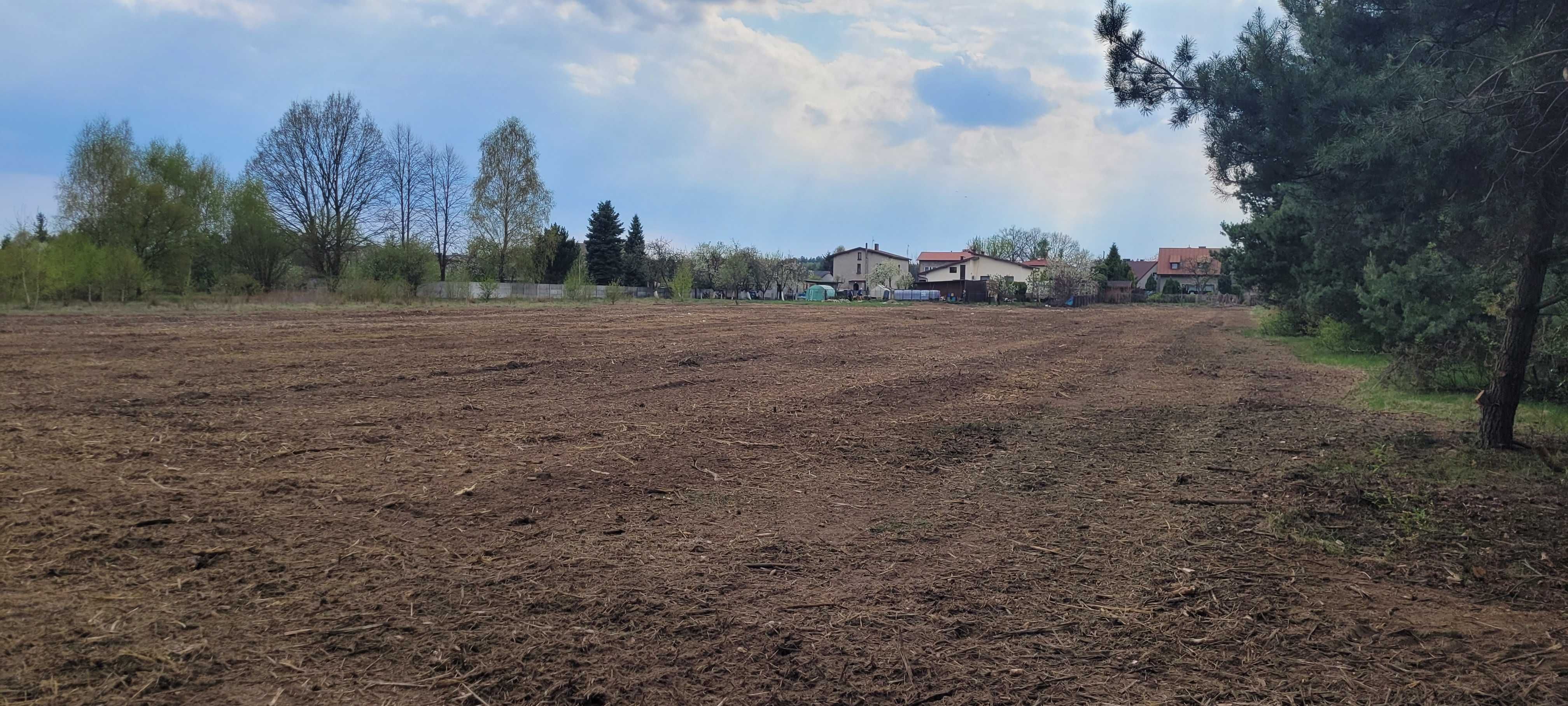 Mulczer leśny | Wycinka drzew | Mulczowanie | Karczowanie