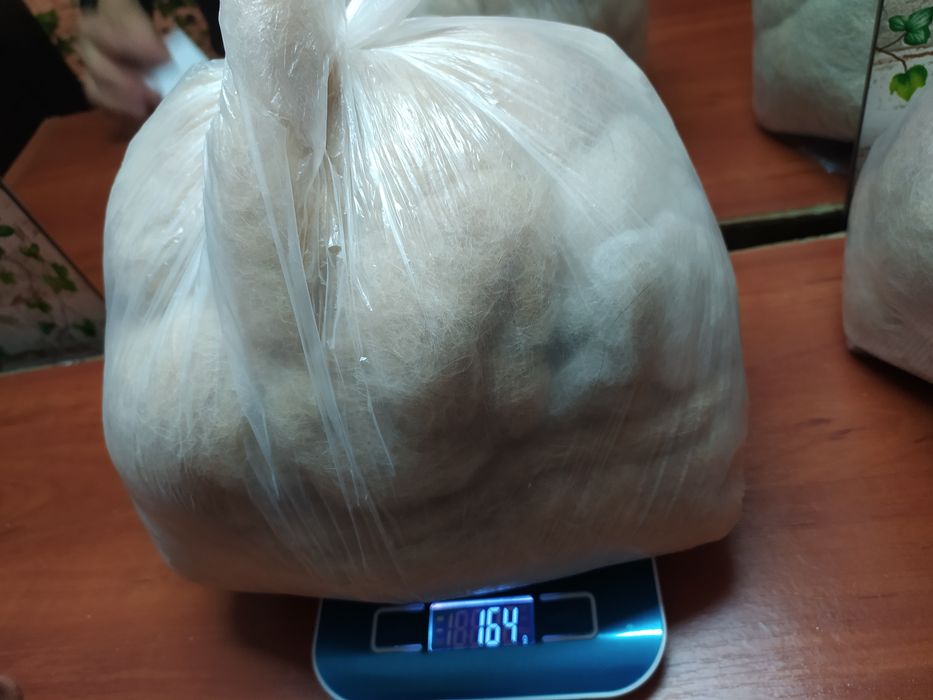 Вичесана шерсть собаки