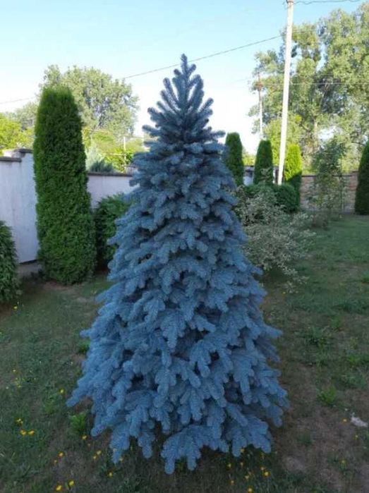 ‼️Акція‼️Искусственная литая елка VIP Роял. Штучна Лита ялинка Преміум