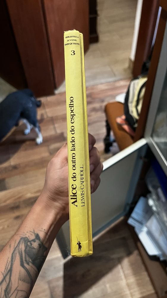 livro alice do outro lado do espelho