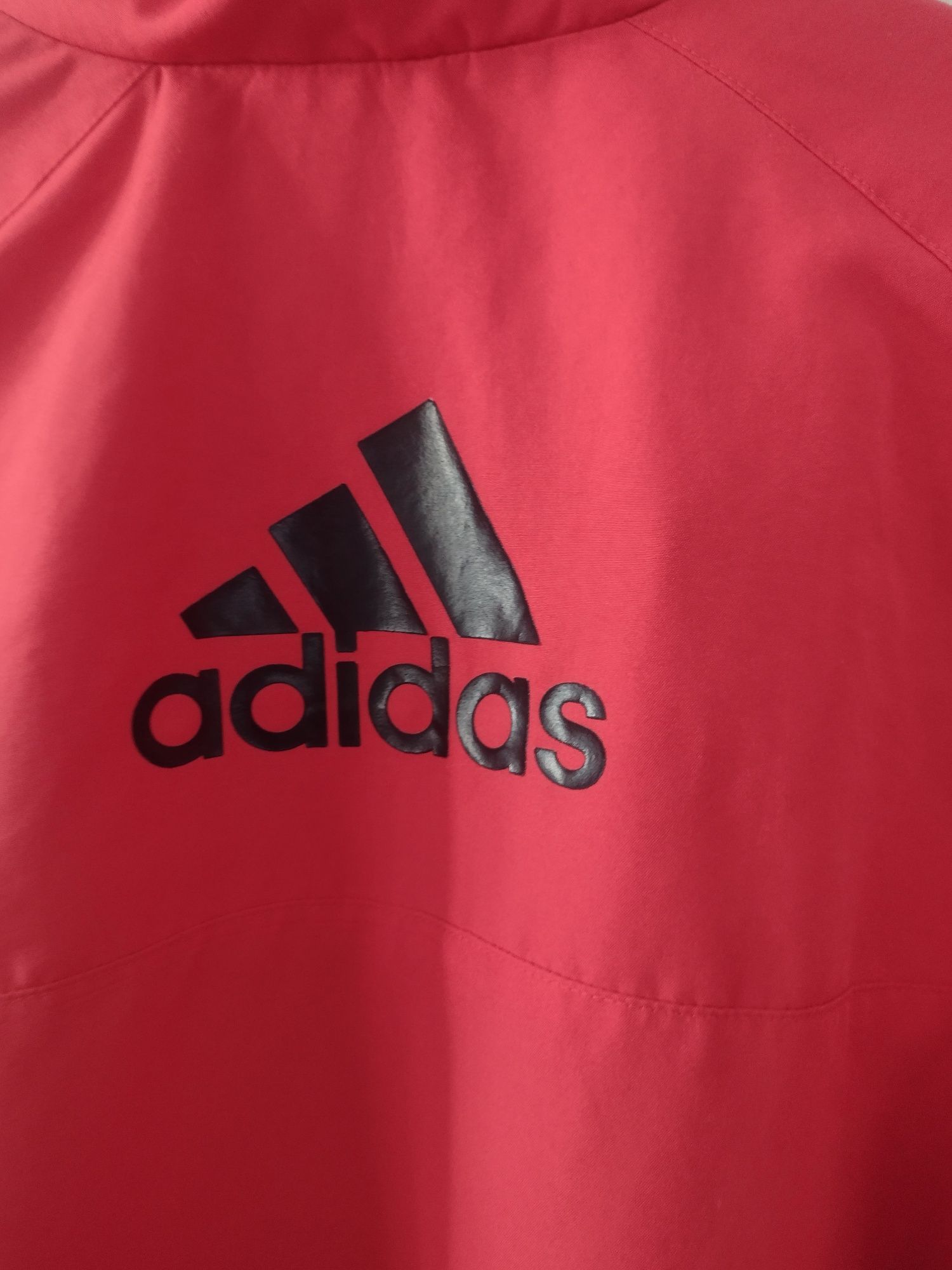 Kurtka adidas męska