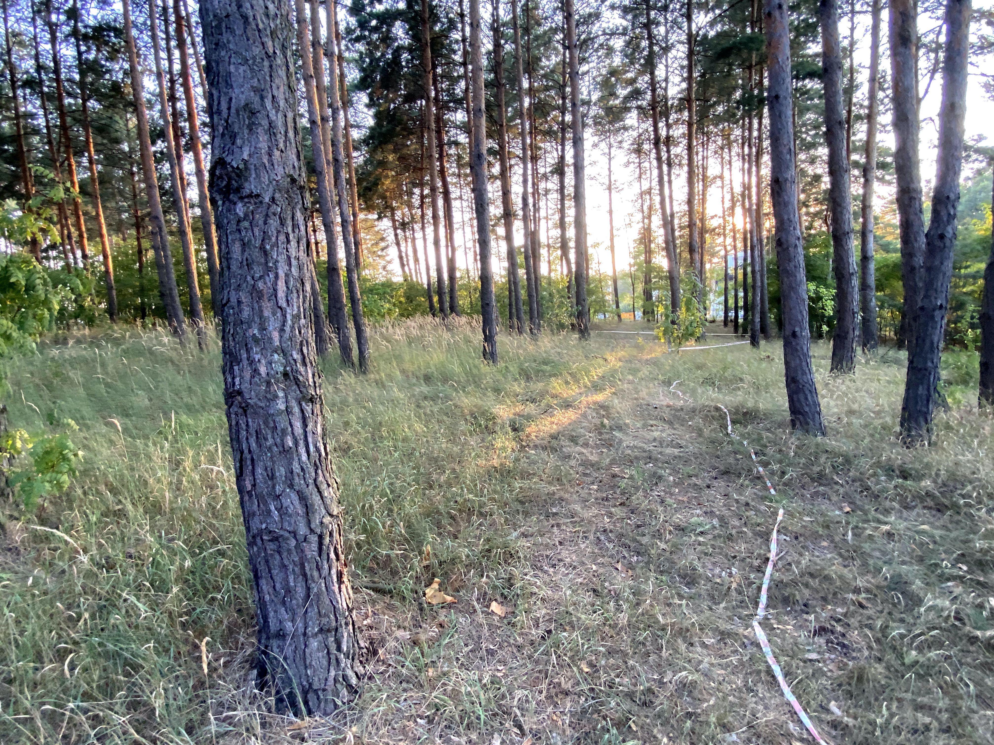 Продам ділянку 2Га під рекреацію Пірнове, Десна, 50кВт, скважина