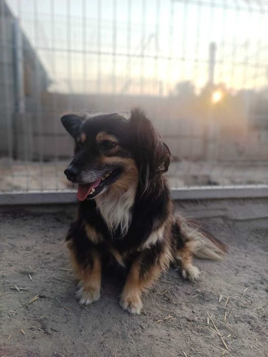 Czy znajdzie się nowy dom dla Daisy?