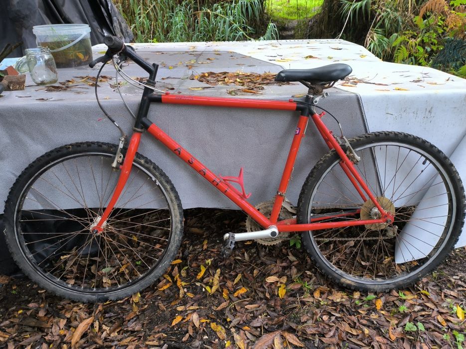 Bicicleta montanha roda 26