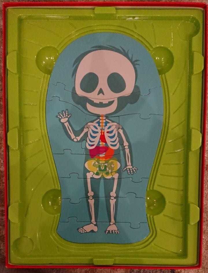 Puzzle: Aprende o Corpo Humano (+4)
