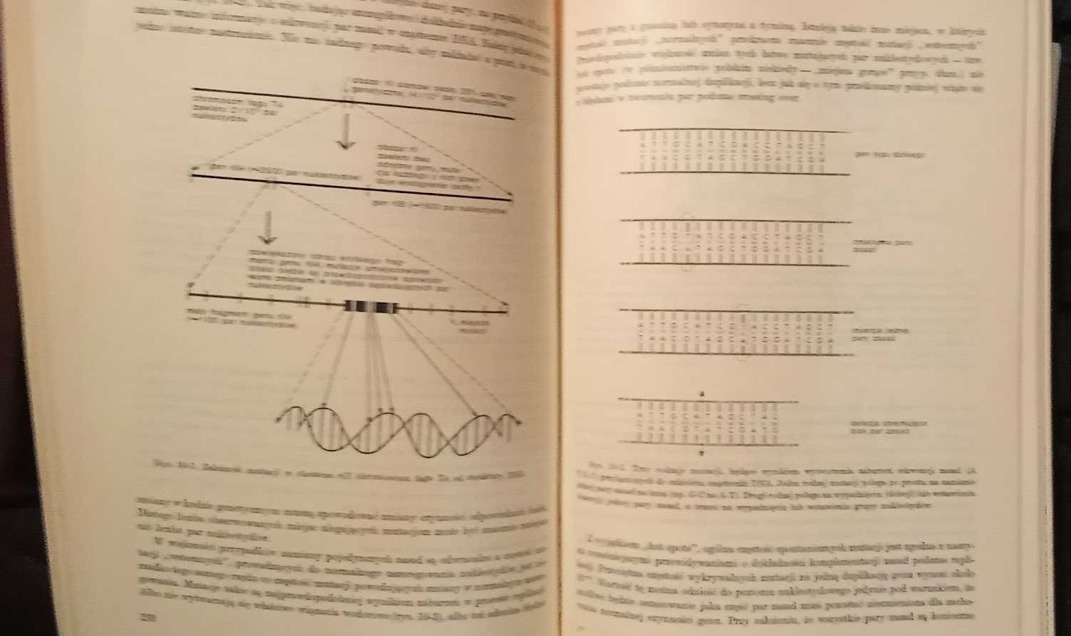 Biologia molekularna genu - James Watson