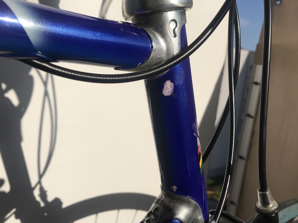 Rower Colnago Tecnos Campagnolo Record