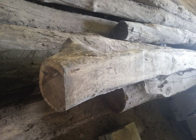 Брьовна дубові сухі