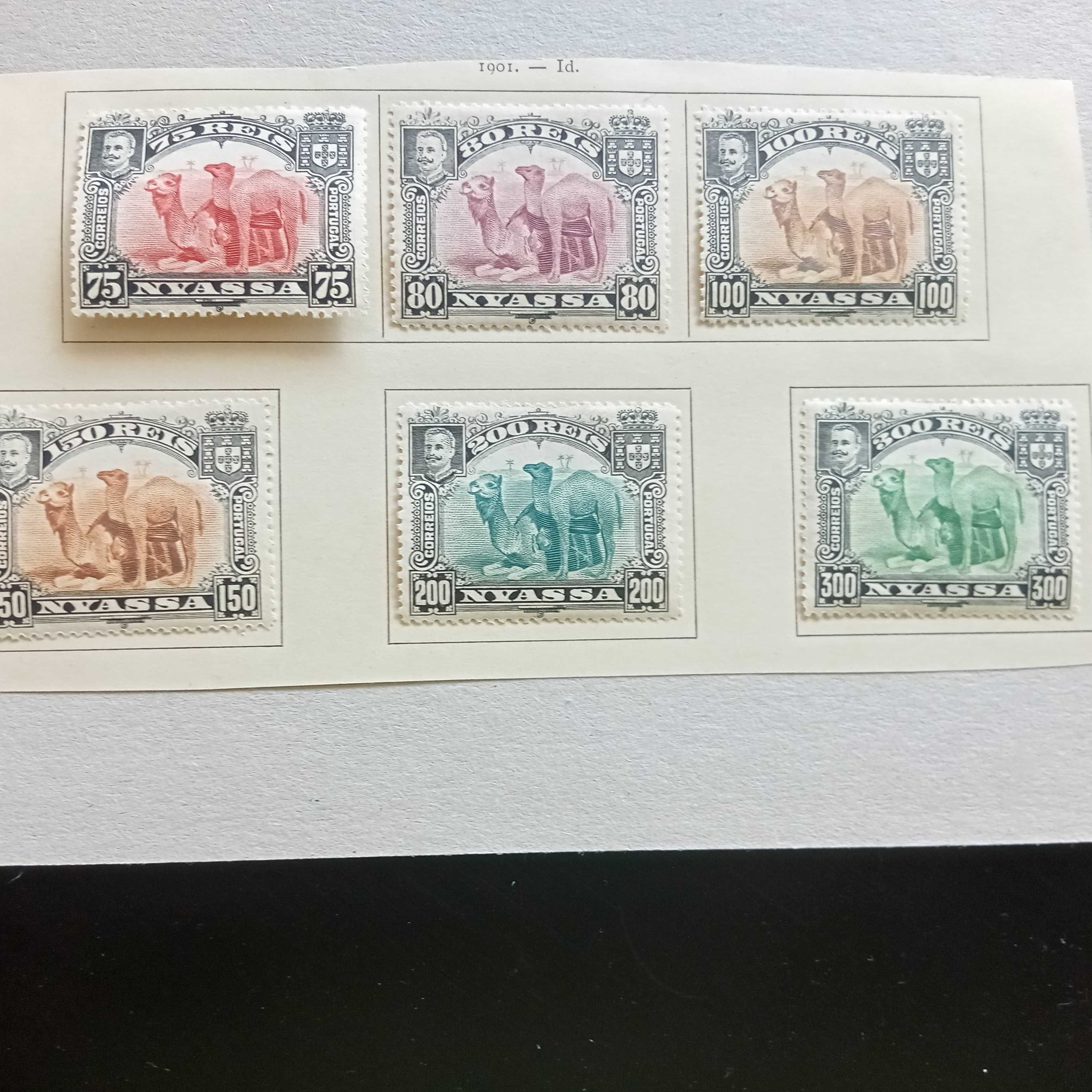 NYASSA denteado 13,5 e 15