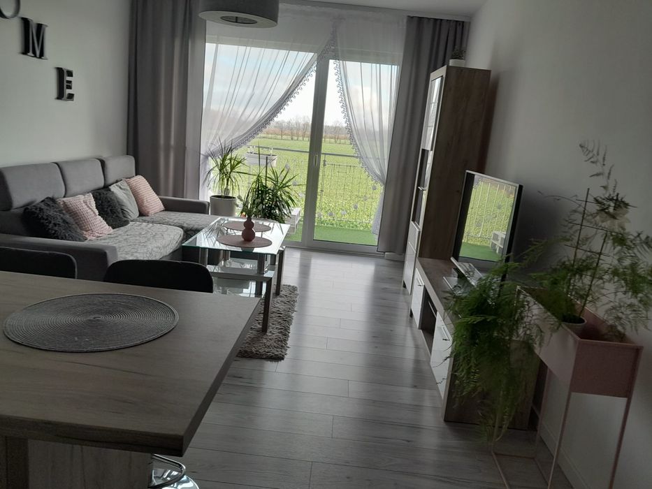 NAJEM OKAZAJONALNY! mieszkanie do wynajęcia od polowy grudnia !