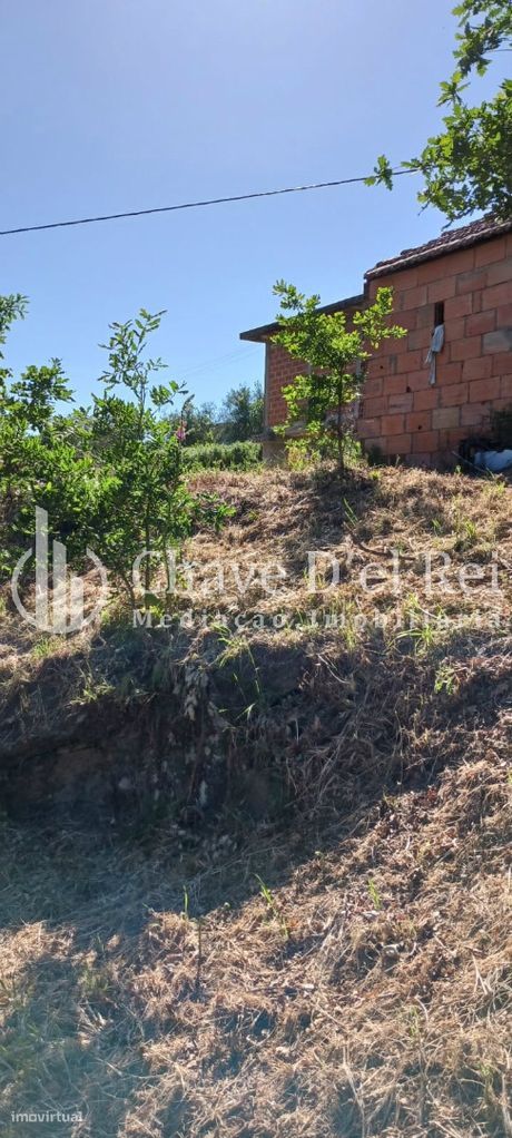 Quintinha  Venda em São Miguel do Mato,Vouzela