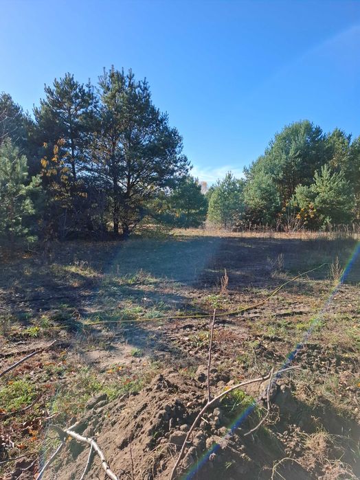 Działka budowlana, 1002 m2, Tuszyny / Koronowo, media, objęta MPZP.