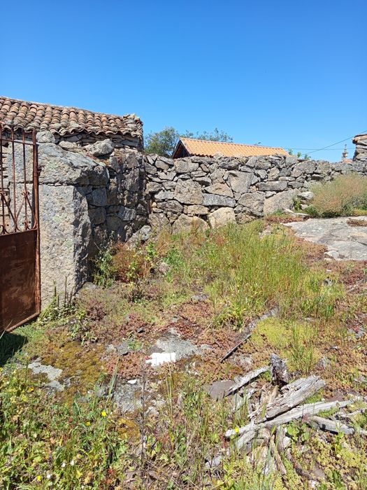 Vendo uma ruína em estevais da Vilariça