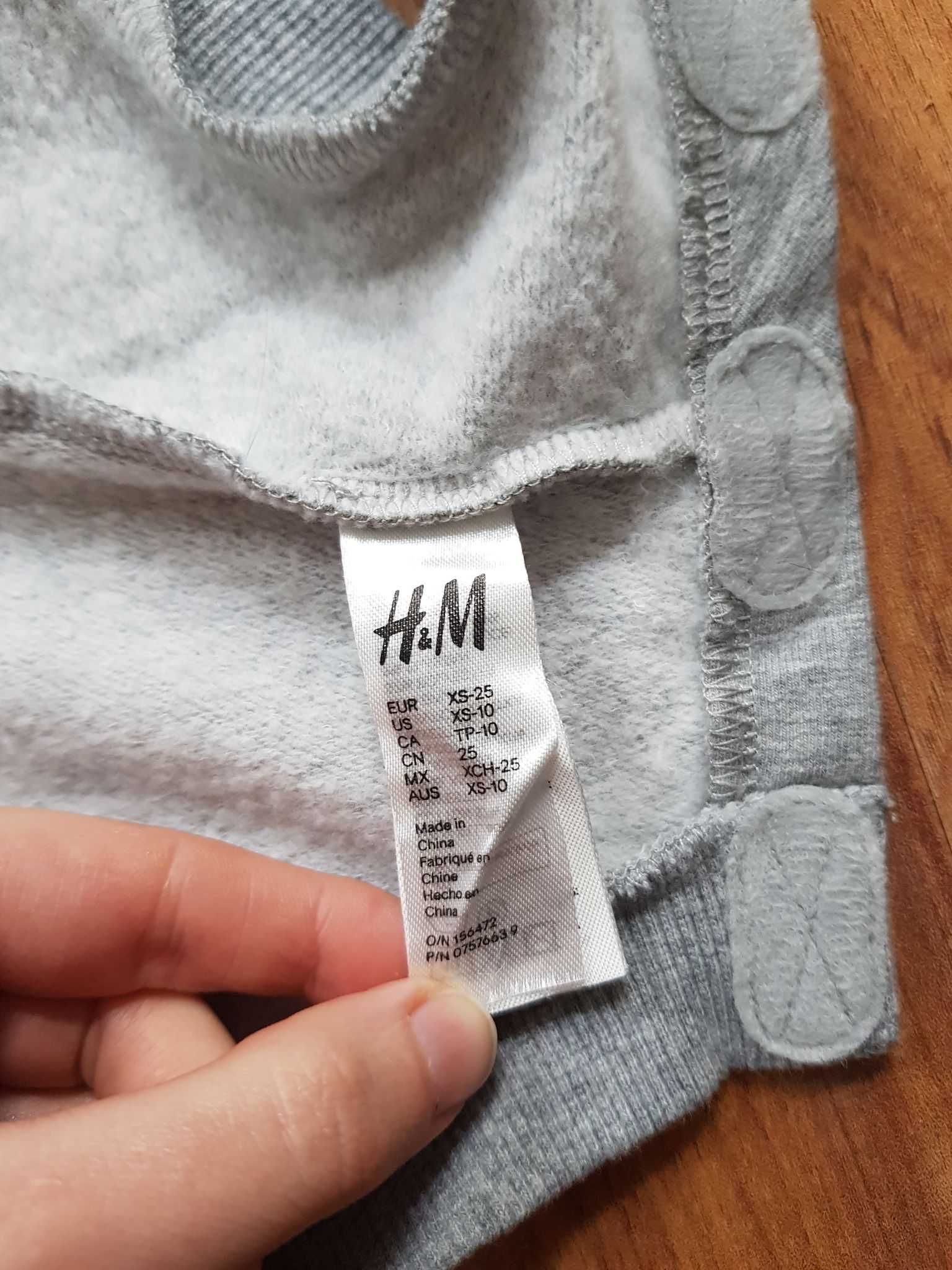 Szara bluza dla psa H&M XS ubranko dla pieska wdzianko dla psiaka