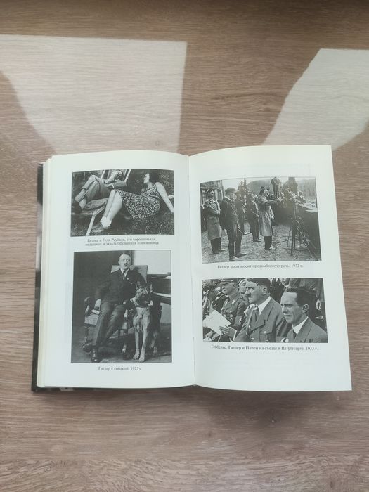 Гитлер, Биография - Путь Наверх. Иоахим Фест