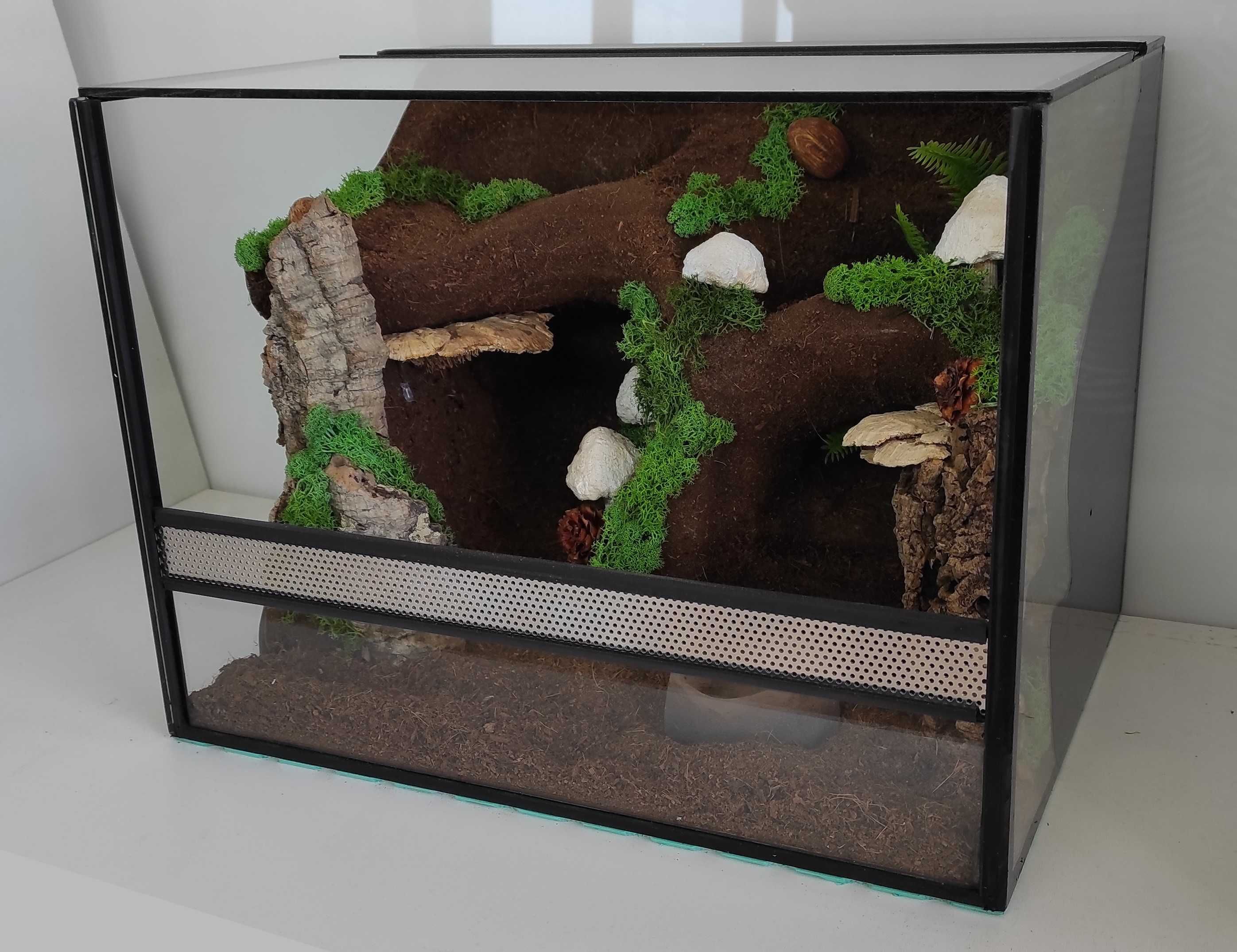 Terrarium dla lasiodory, ptasznika, achatiny, TW10G AquaWaves