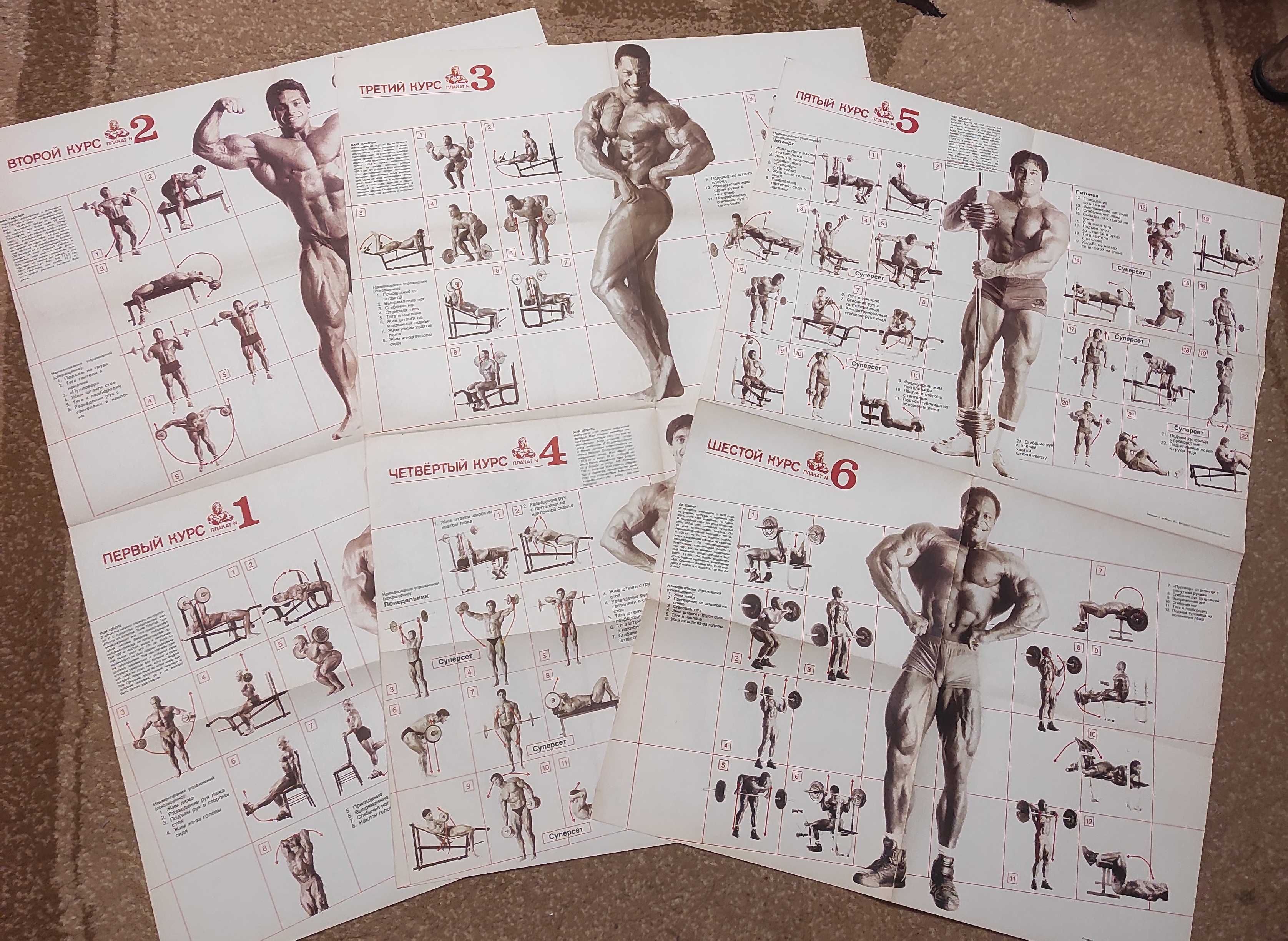 Плакаты Джо Вейдер Система строительства тела