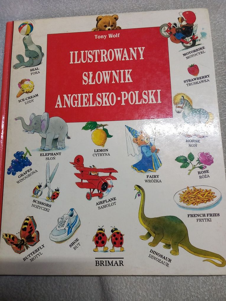 Ilustrowany słownik angielsko-polski - T. Wolf