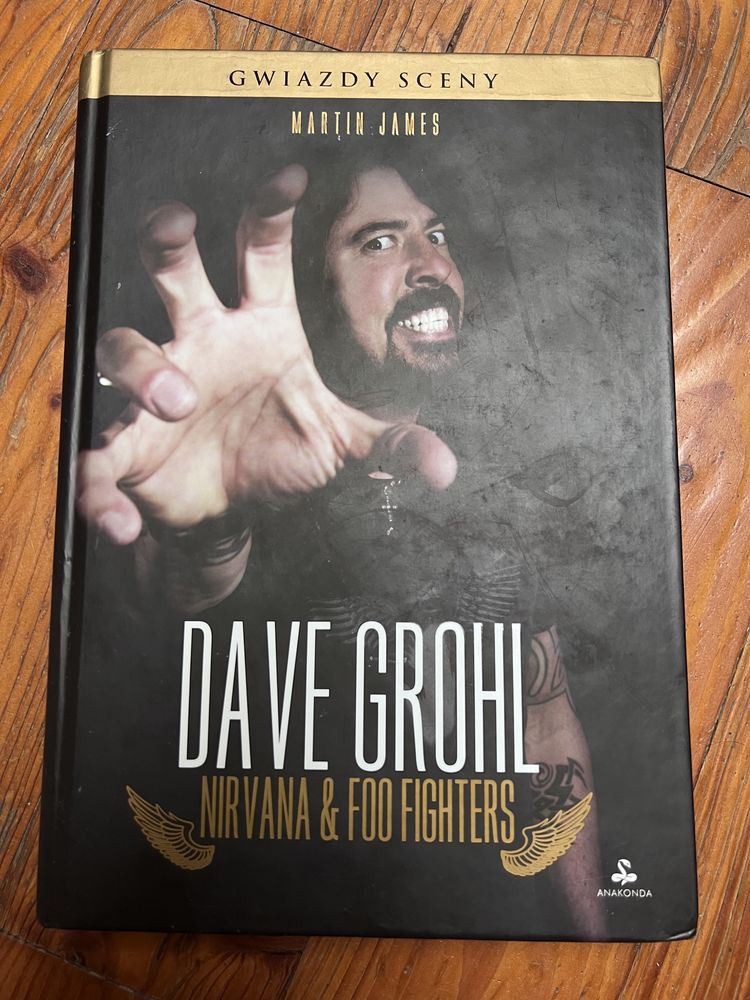 Dave Grohl. Nirvana & Foo Fighters
