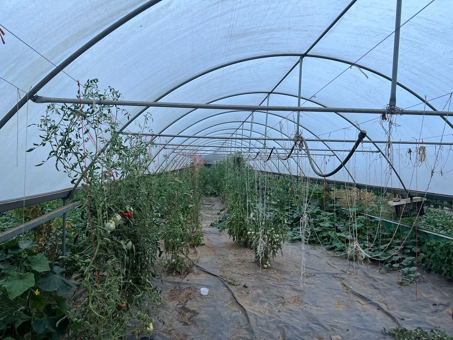 Estufas agrícolas
