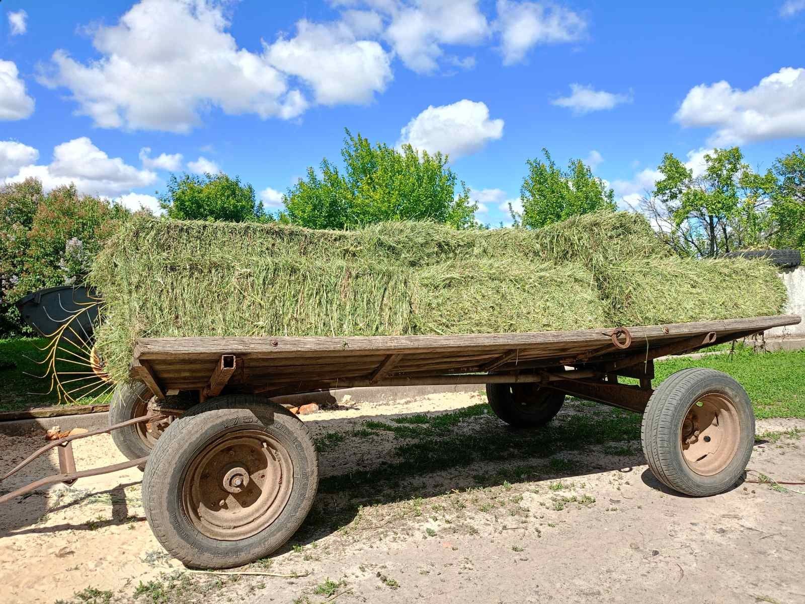 Терміново сіно і солма
