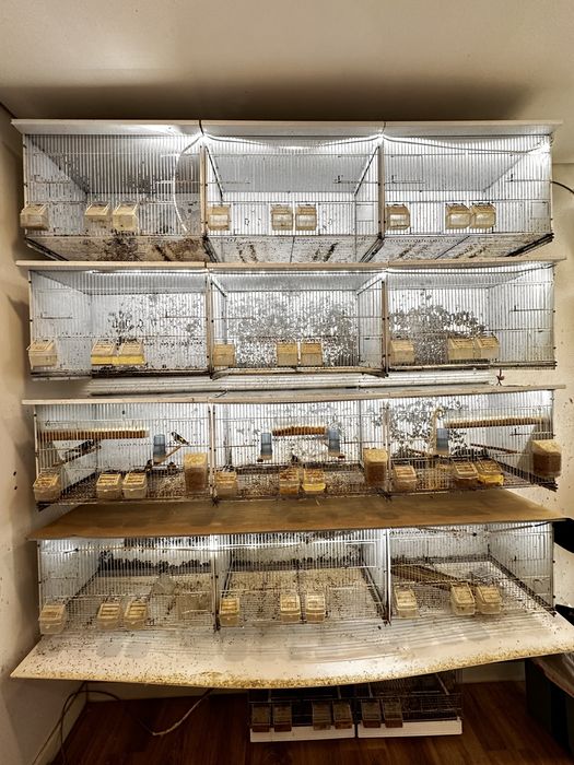 Viveiros de criacao / voadeiras