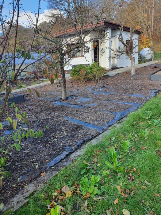 Sprzatanie ogrodow dzialek wywoz odpadow