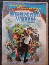 Film DVD Wpuszczony w kanał