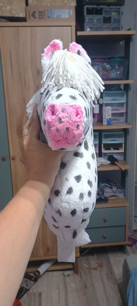 Hobby horse tarant