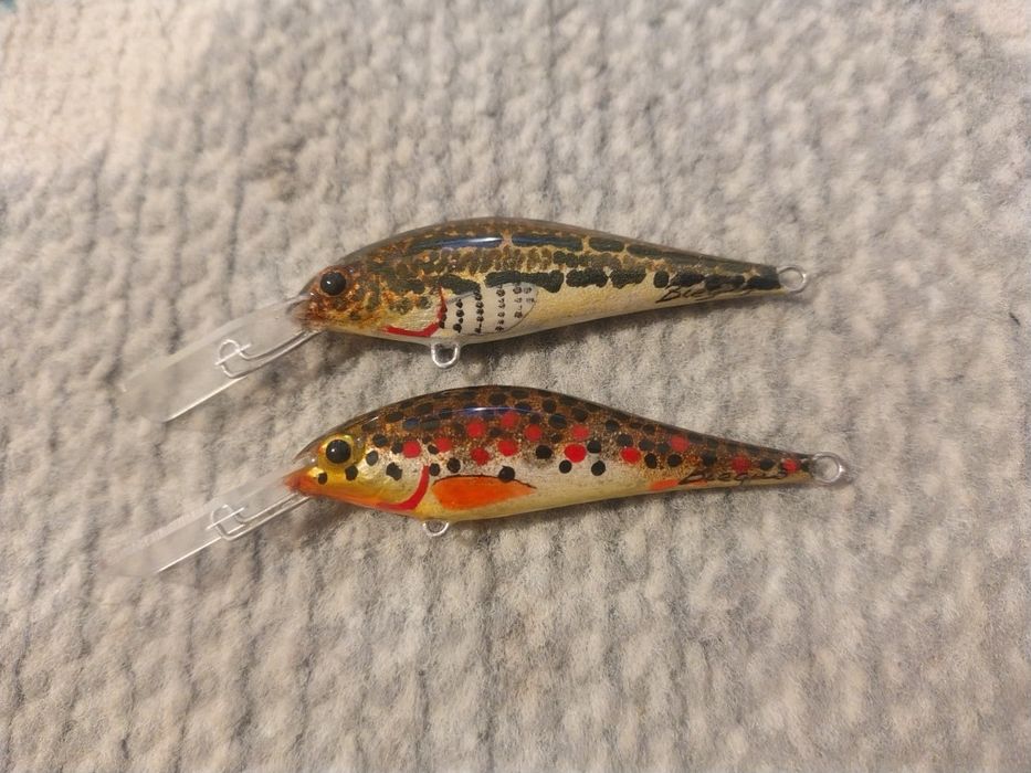 Woblery pod trocie pstrągi