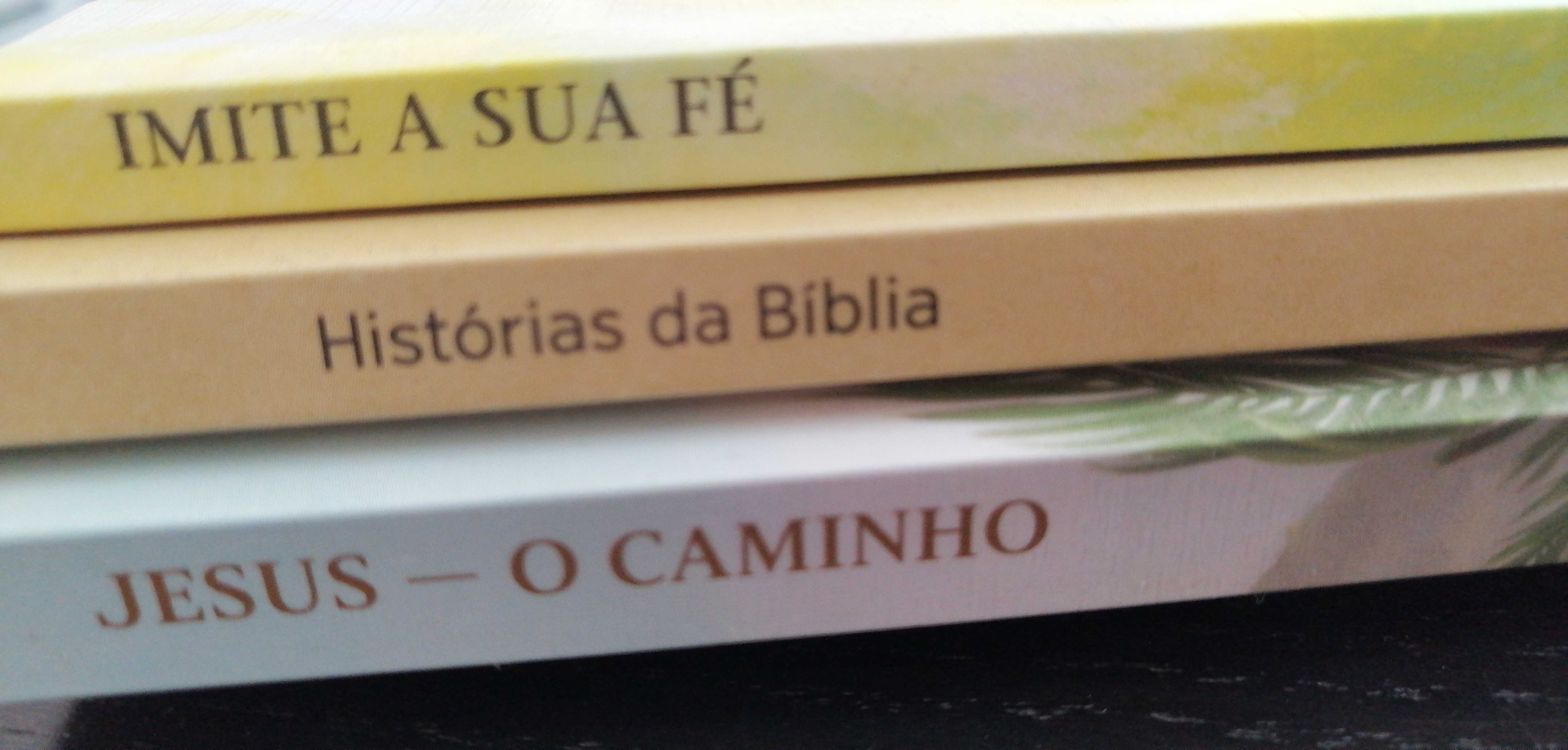 Livros bíblicos 3 livros